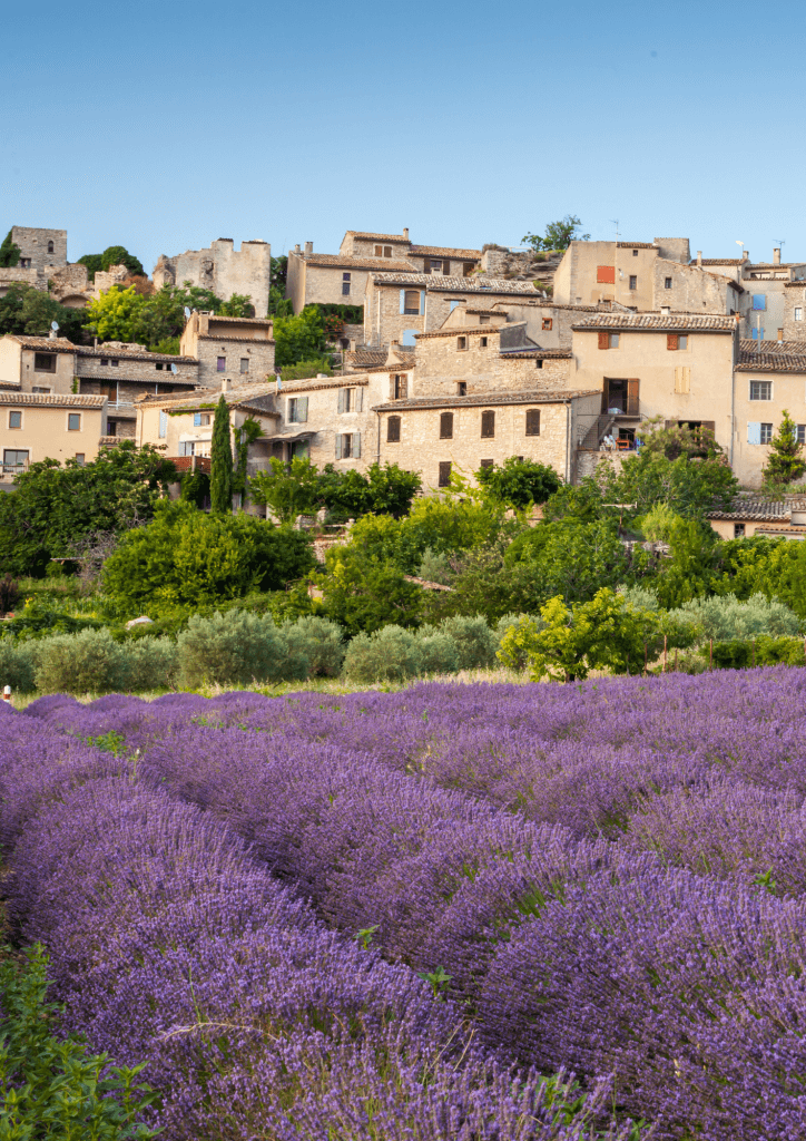 Photo paysage d'une ville dans l'Hérault avec les champs de lavande en premier plan